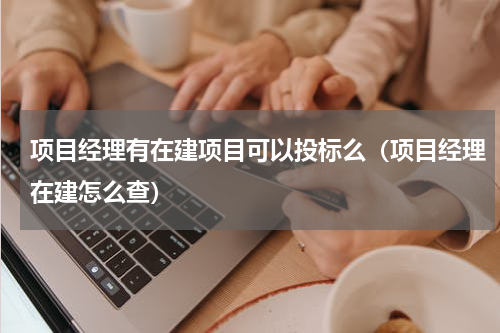 项目经理有在建项目可以投标么（项目经理在建怎么查）