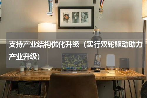 支持产业结构优化升级（实行双轮驱动助力产业升级）