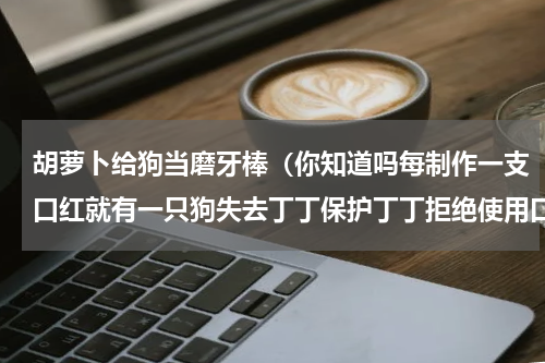 胡萝卜给狗当磨牙棒（你知道吗每制作一支口红就有一只狗失去丁丁保护丁丁拒绝使用口红）
