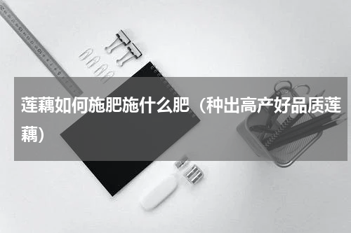 莲藕如何施肥施什么肥（种出高产好品质莲藕）