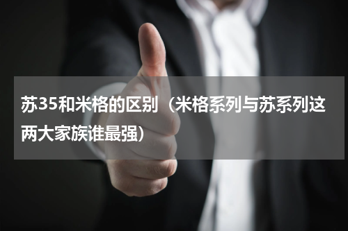 苏35和米格的区别（米格系列与苏系列这两大家族谁最强）