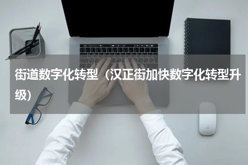 街道数字化转型（汉正街加快数字化转型升级）