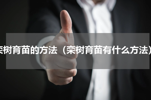 栾树育苗的方法（栾树育苗有什么方法）