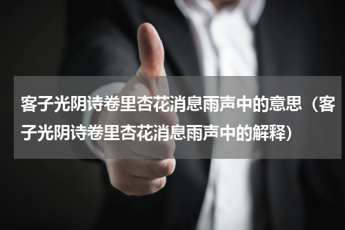 客子光阴诗卷里杏花消息雨声中的意思（客子光阴诗卷里杏花消息雨声中的解释）