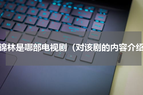 高锦林是哪部电视剧（对该剧的内容介绍）