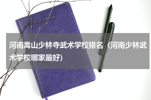 河南嵩山少林寺武术学校排名（河南少林武术学校哪家最好）