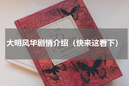 大明风华剧情介绍（快来这看下）