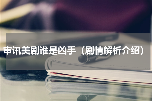 审讯美剧谁是凶手（剧情解析介绍）