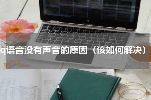 qq语音没有声音的原因（该如何解决）