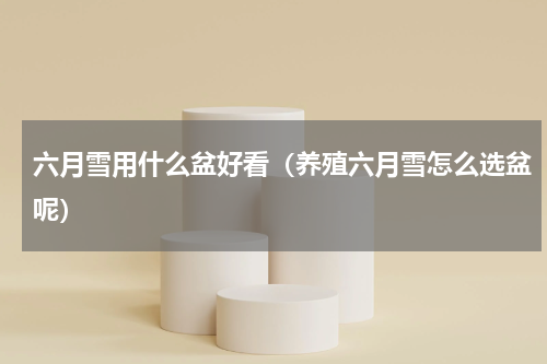 六月雪用什么盆好看（养殖六月雪怎么选盆呢）