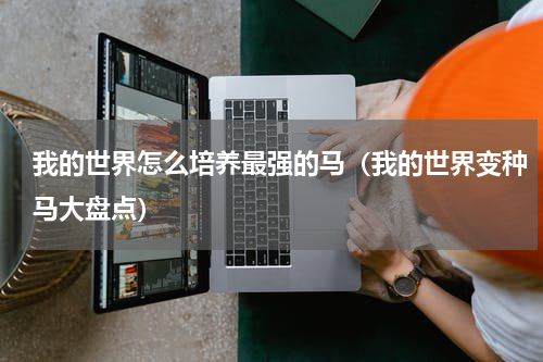 我的世界怎么培养最强的马（我的世界变种马大盘点）