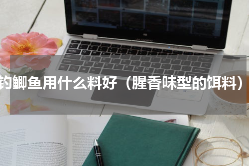 钓鲫鱼用什么料好（腥香味型的饵料）