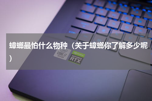 蟑螂最怕什么物种（关于蟑螂你了解多少呢）