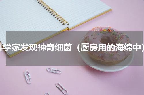 科学家发现神奇细菌（厨房用的海绵中）