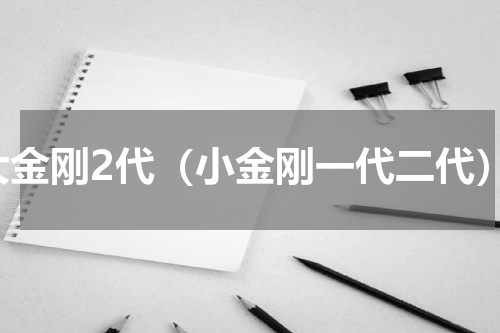 大金刚2代（小金刚一代二代）