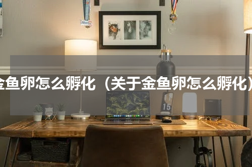 金鱼卵怎么孵化（关于金鱼卵怎么孵化）