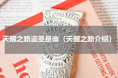天醒之路盗圣是谁（天醒之路介绍）