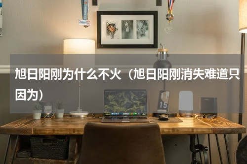 旭日阳刚为什么不火（旭日阳刚消失难道只因为）