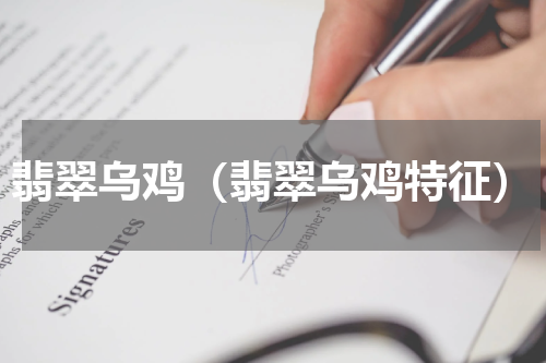 翡翠乌鸡（翡翠乌鸡特征）