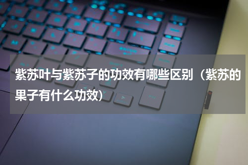 紫苏叶与紫苏子的功效有哪些区别（紫苏的果子有什么功效）