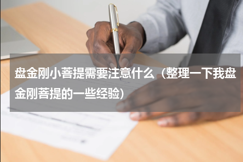 盘金刚小菩提需要注意什么（整理一下我盘金刚菩提的一些经验）