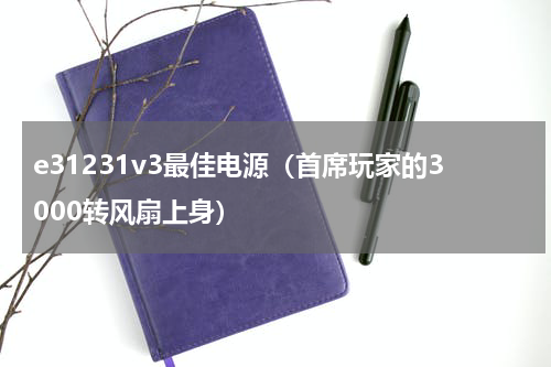 e31231v3最佳电源（首席玩家的3000转风扇上身）