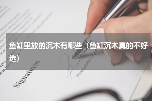 鱼缸里放的沉木有哪些（鱼缸沉木真的不好选）