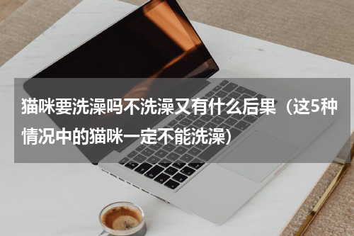 猫咪要洗澡吗不洗澡又有什么后果（这5种情况中的猫咪一定不能洗澡）