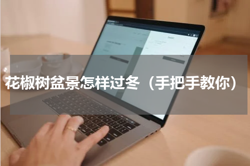 花椒树盆景怎样过冬（手把手教你）
