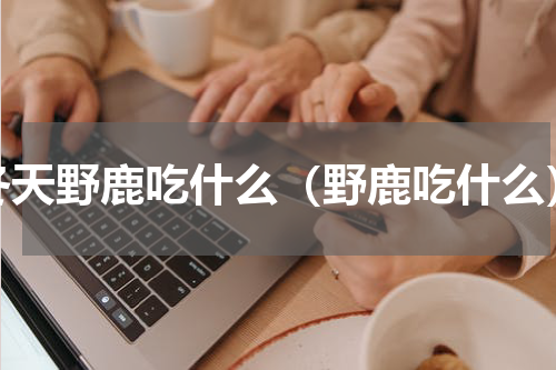 冬天野鹿吃什么（野鹿吃什么）