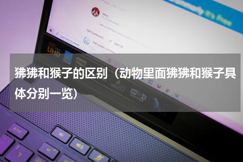 狒狒和猴子的区别（动物里面狒狒和猴子具体分别一览）