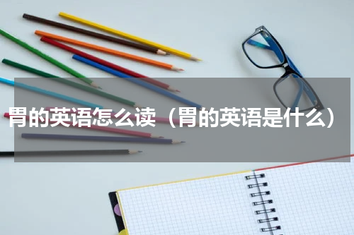 胃的英语怎么读（胃的英语是什么）