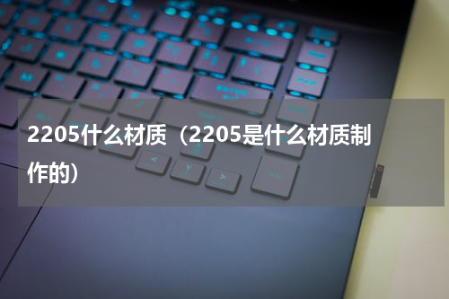 2205什么材质（2205是什么材质制作的）