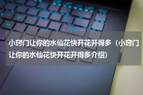小窍门让你的水仙花快开花开得多（小窍门让你的水仙花快开花开得多介绍）