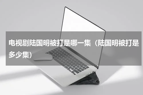 电视剧陆国明被打是哪一集（陆国明被打是多少集）