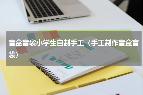 盲盒盲袋小学生自制手工（手工制作盲盒盲袋）