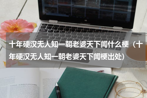 十年硬汉无人知一朝老婆天下闻什么梗（十年硬汉无人知一朝老婆天下闻梗出处）