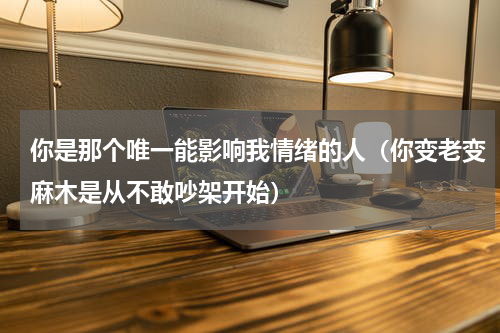 你是那个唯一能影响我情绪的人（你变老变麻木是从不敢吵架开始）