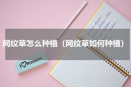 网纹草怎么种植（网纹草如何种植）