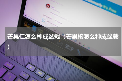 芒果仁怎么种成盆栽（芒果核怎么种成盆栽）