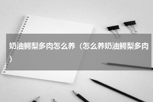 奶油鳄梨多肉怎么养（怎么养奶油鳄梨多肉）