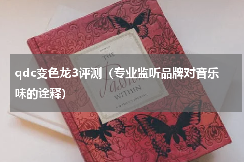 qdc变色龙3评测（专业监听品牌对音乐味的诠释）