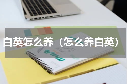 白英怎么养（怎么养白英）