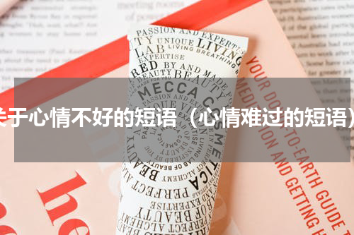 关于心情不好的短语（心情难过的短语）