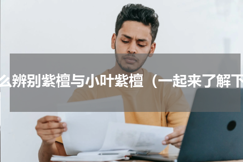 怎么辨别紫檀与小叶紫檀（一起来了解下）