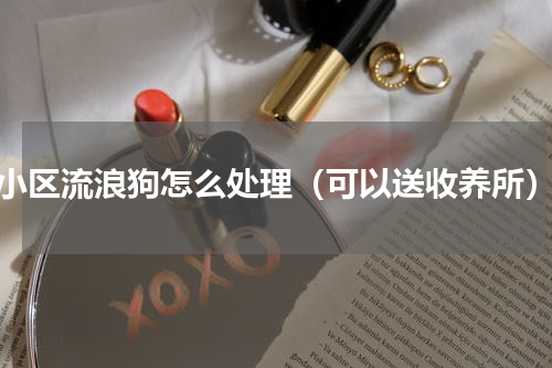小区流浪狗怎么处理（可以送收养所）