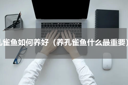 孔雀鱼如何养好（养孔雀鱼什么最重要）