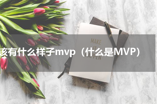 该有什么样子mvp（什么是MVP）