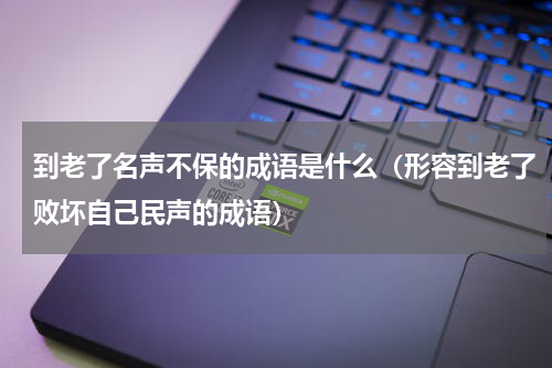 到老了名声不保的成语是什么（形容到老了败坏自己民声的成语）