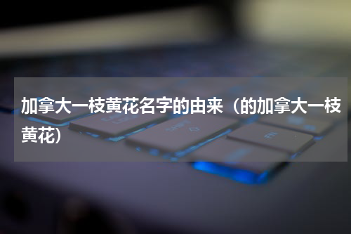 加拿大一枝黄花名字的由来（的加拿大一枝黄花）